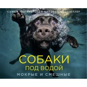 Кастил Сет: Собаки под водой. Мокрые и смешные (Подарочная книга)