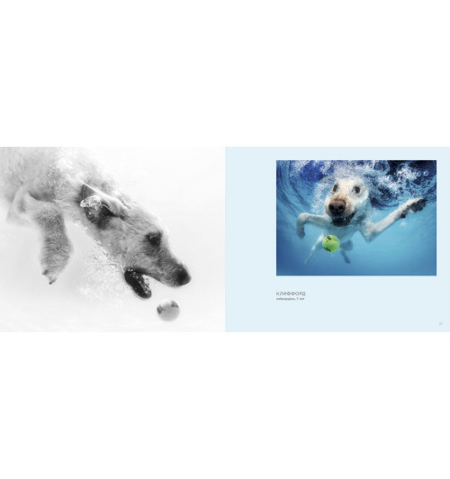 Кастил Сет: Собаки под водой. Мокрые и смешные (Подарочная книга)-2