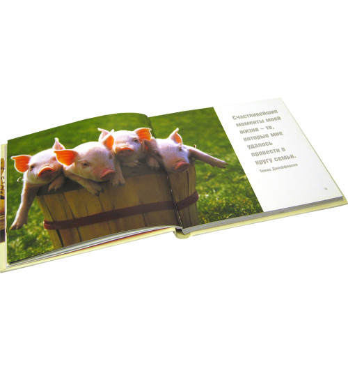 Байрд Дэвид: Жизнь - сложная штука (Карманный) Байрд Дэвид: Жизнь - сложная штука (Карманный)-3