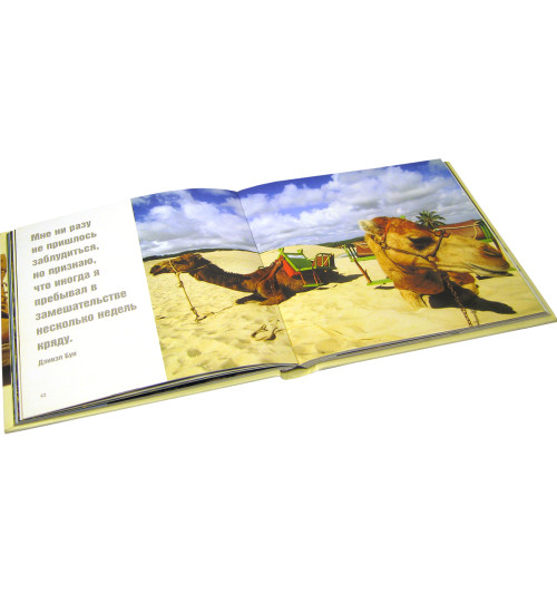 Байрд Дэвид: Жизнь - сложная штука (Карманный) Байрд Дэвид: Жизнь - сложная штука (Карманный)-5