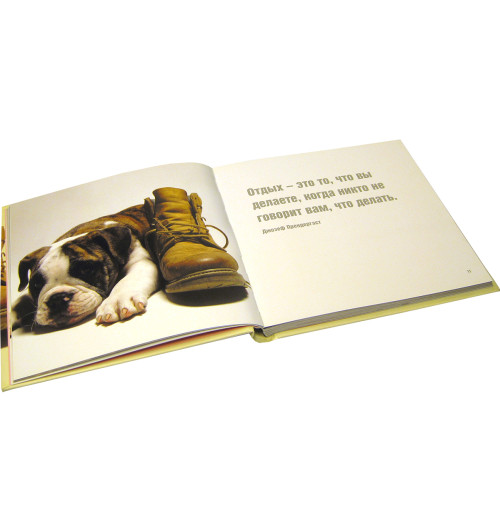 Байрд Дэвид: Жизнь - сложная штука (Карманный) Байрд Дэвид: Жизнь - сложная штука (Карманный)-7