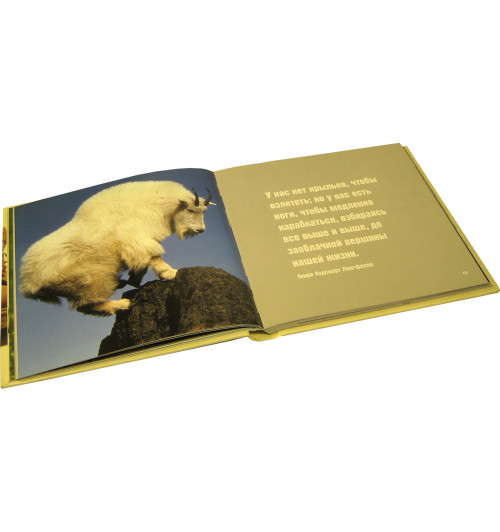 Байрд Дэвид: Жизнь - сложная штука (Карманный) Байрд Дэвид: Жизнь - сложная штука (Карманный)-9