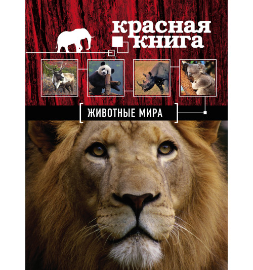Скалдина Оксана Валерьевна: Красная книга. Животные мира Скалдина Оксана Валерьевна: Красная книга. Животные мира-1