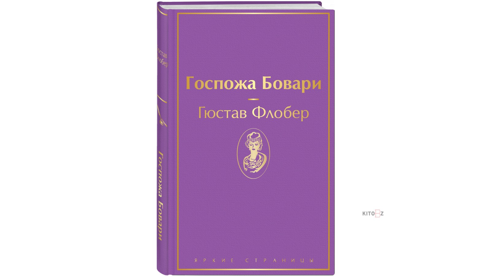 Флобер госпожа бовари герои. Мемуары безумца Гюстав Флобер. Флобер препарирует госпожу Бовари.