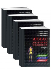 Синельников: Атлас анатомии человека. В 4-х томах. (Копия)  (AB)