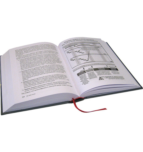 Фридман Александр Семенович: Вы или хаос. Профессиональное планирование для регулярного менеджмента (ИЦ-240)-2