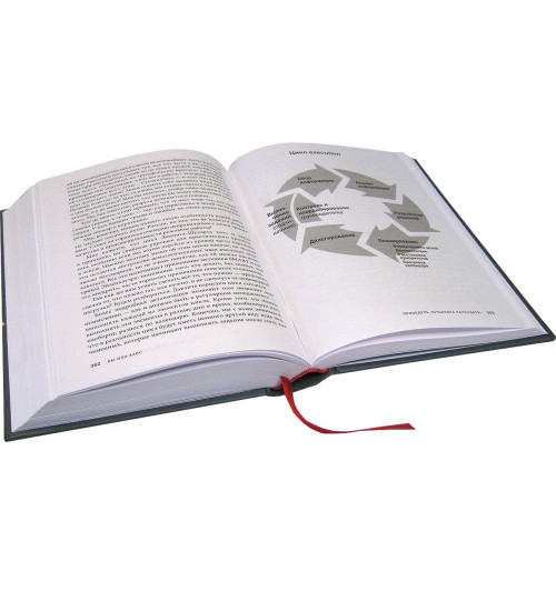 Фридман Александр Семенович: Вы или хаос. Профессиональное планирование для регулярного менеджмента (ИЦ-240)-4