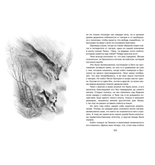 Сетон-Томпсон Эрнест: Рассказы о животных Сетон-Томпсон Эрнест: Рассказы о животных-6