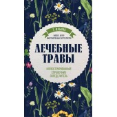 Татьяна Ильина: Лечебные травы. Иллюстрированный справочник-определитель 