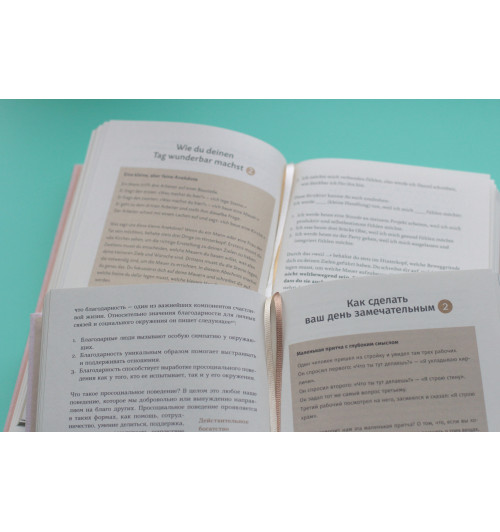 Спенст Доминик: 6 минут. Ежедневник, который изменит вашу жизнь (пудра)-4