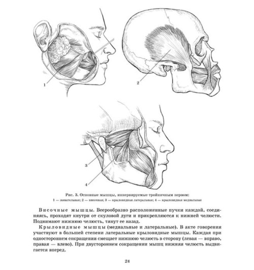 Логопедический массаж: Комплексный подход к коррекции речевой патологии у детей-3