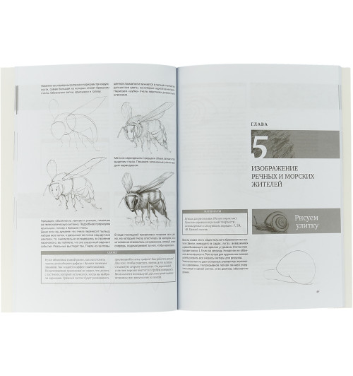 Мазовецкая Виктория Владимировна: Простые уроки рисования для начинающих  Мазовецкая Виктория Владимировна-1