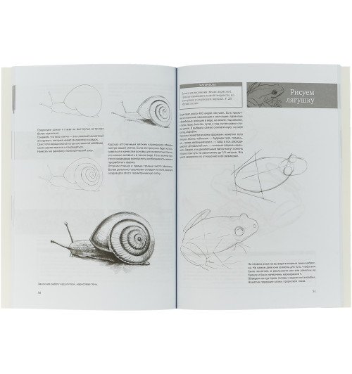 Мазовецкая Виктория Владимировна: Простые уроки рисования для начинающих  Мазовецкая Виктория Владимировна-2