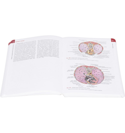 Михаил Сапин: Анатомия человека. Атлас. Учебное пособие в 3-х томах. Том 2-1