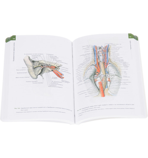 Сапин Михаил Романович: Анатомия человека. Атлас. В 3 томах. Том 3. Учение о нервной системе-1