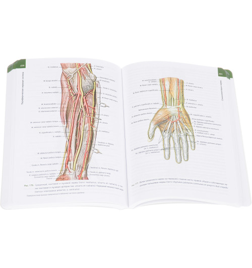 Сапин Михаил Романович: Анатомия человека. Атлас. В 3 томах. Том 3. Учение о нервной системе-2
