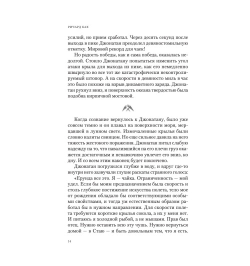 Бах Ричард: Чайка Джонатан Ливингстон. Иллюзии. Карманный справочник Мессии Бах Ричард: Чайка Джонатан Ливингстон. Иллюзии. Карманный справочник Мессии-8