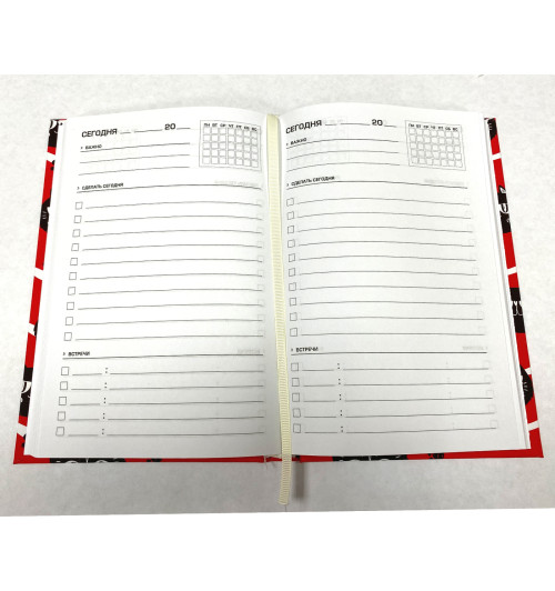 Ежедневник А5 "Коты", недатированный, 160 листов, покрытие Soft Touch -2