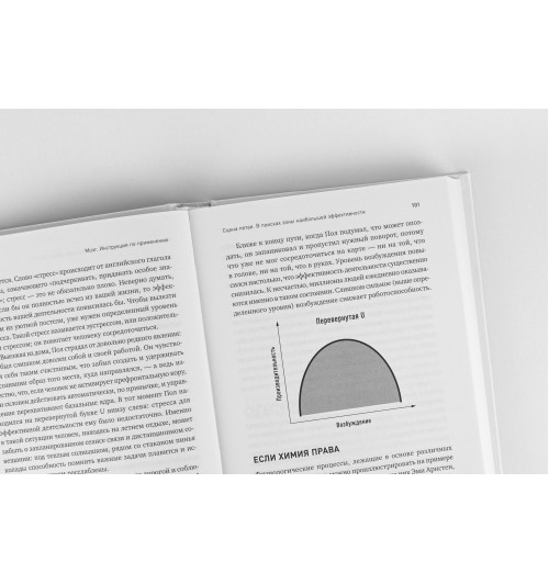 Рок Дэвид: МОЗГ. Инструкция по применению: Как использовать свои возможности по максимуму и без перегрузок-10