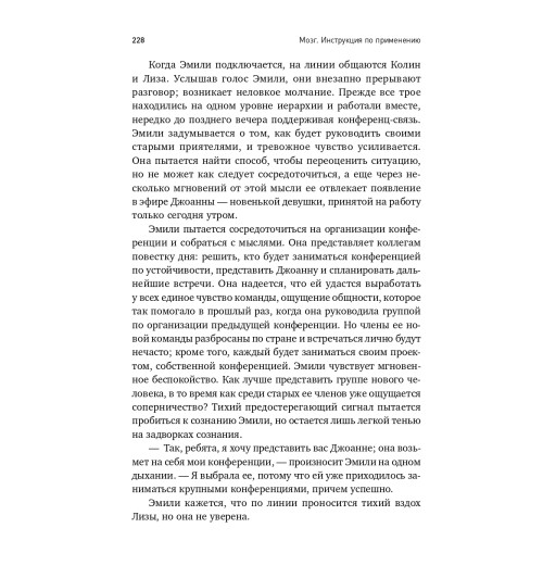 Рок Дэвид: МОЗГ. Инструкция по применению: Как использовать свои возможности по максимуму и без перегрузок-4