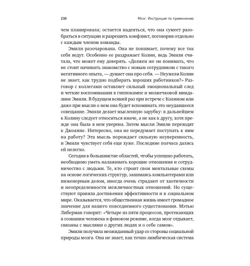 Рок Дэвид: МОЗГ. Инструкция по применению: Как использовать свои возможности по максимуму и без перегрузок-6