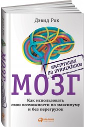 Рок Дэвид: МОЗГ. Инструкция по применению: Как использовать свои возможности по максимуму и без перегрузок