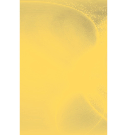 Тиньков Олег: Как стать бизнесменом -6