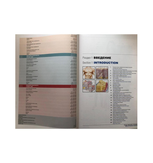 Атлас анатомии человека: терминология на русском, латинском и английском языках-1