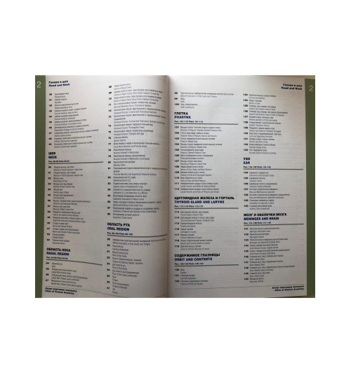 Атлас анатомии человека: терминология на русском, латинском и английском языках-2