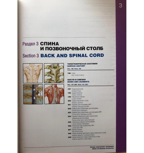 Атлас анатомии человека: терминология на русском, латинском и английском языках-3
