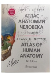 Атлас анатомии человека: терминология на русском, латинском и английском языках