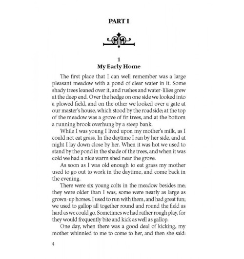 Сьюэлл Анна: Черный Красавец / Black Beauty-4