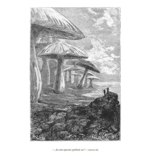  Жюль Верн: Путешествие к центру земли. Пятнадцатилетний капитан. 80 Дней вокруг света. Иллюстрированное издание с закладкой-ляссе (Подарочное издание)-5