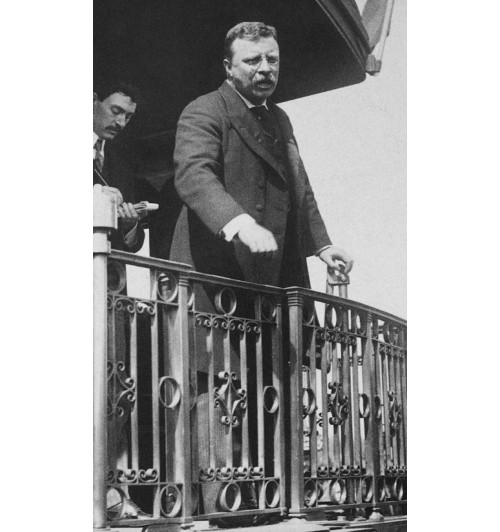 Аксельрод Алан: Теодор Рузвельт. Законы лидерства Аксельрод Алан: Теодор Рузвельт. Законы лидерства-4