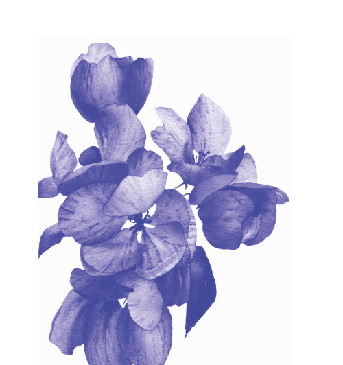 Реклау Марк: Carpe diem. 7 практик благодарности. Книга-дневник на 90 дней-10