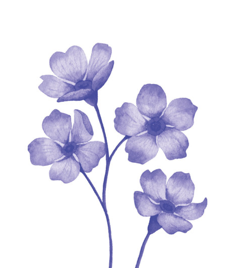 Реклау Марк: Carpe diem. 7 практик благодарности. Книга-дневник на 90 дней-8