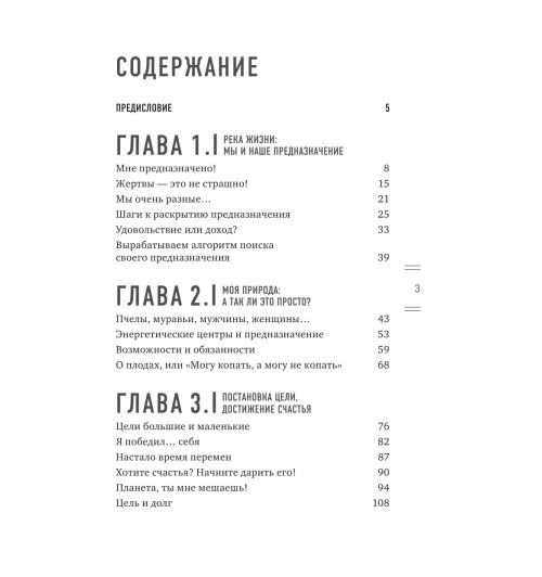 Торсунов Олег Геннадьевич: Мое предназначение. Как заслужить большего и сделать этот мир лучше-4