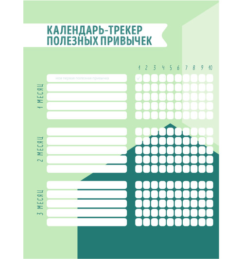 Плискина Юлианна Владимировна: Wellness planner: ваш личный коуч на пути к успеху, здоровью и гармонии (мятный)-12
