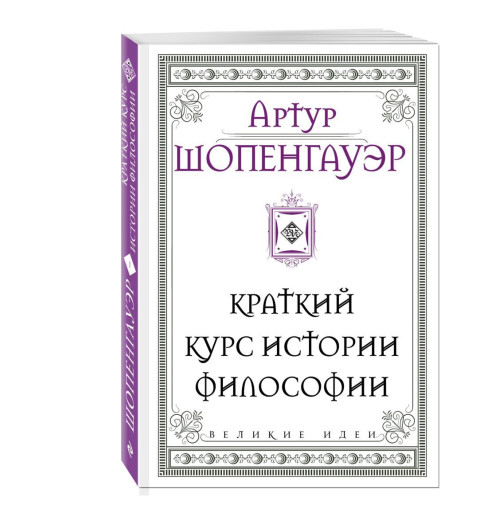 Шопенгауэр. Краткий курс истории философии