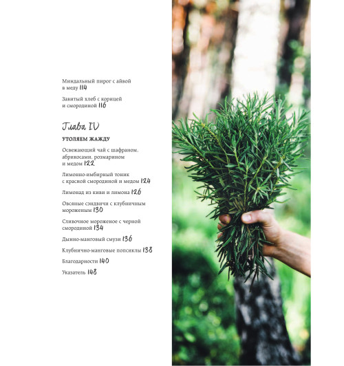 Снижевская Динара Викторовна: Ягодное настроение. Пироги и разная выпечка для летних дней (Кулинария)-17