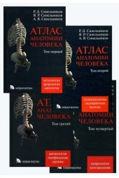 Синельников: Атлас анатомии человека. В 4-х томах. (AB)