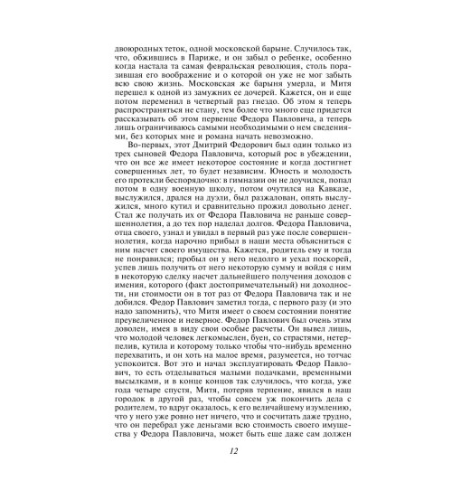 Достоевский Федор Михайлович: Братья Карамазовы (c&l)-9