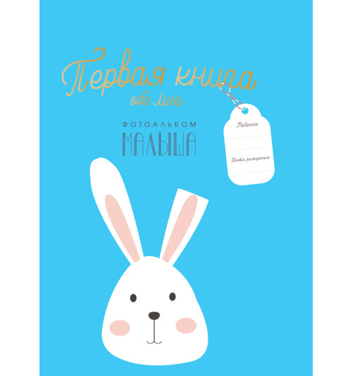 Альбом: Первая книга обо мне. Фотоальбом малыша-1