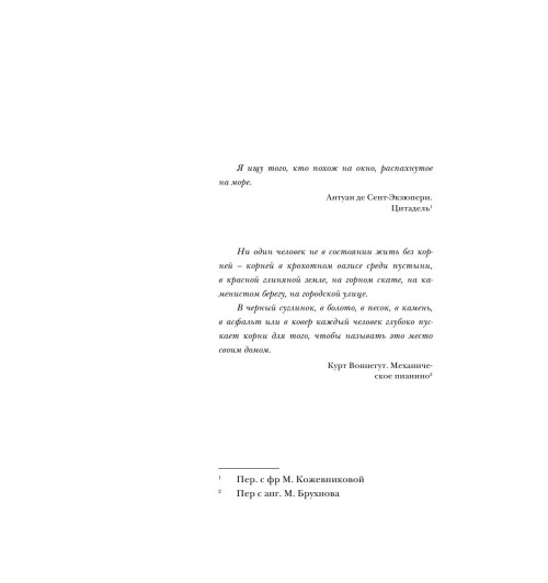 Эльчин Сафарли: Дом, в котором горит свет-5