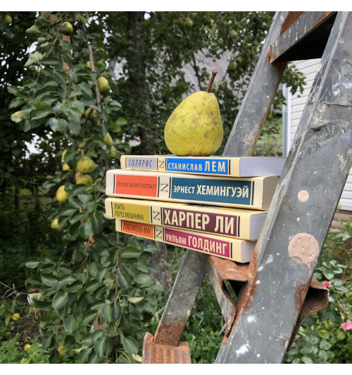 Фрэнсис Бёрнетт: Таинственный сад (М) Фрэнсис Бёрнетт: Таинственный сад (М)-5