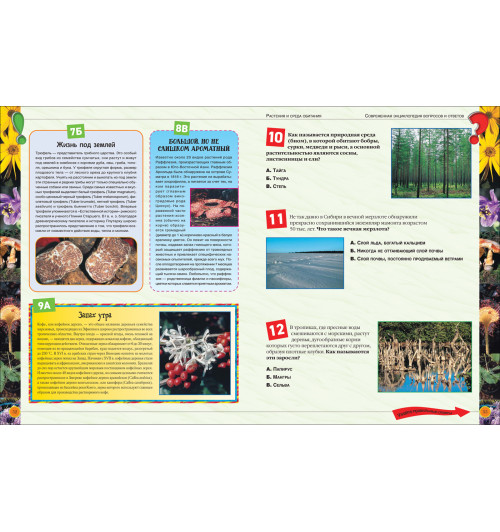 Гароццо Доротея Тасси Лаура: Современная энциклопедия вопросов и ответов Гароццо Доротея Тасси Лаура: Современная энциклопедия вопросов и ответов-9