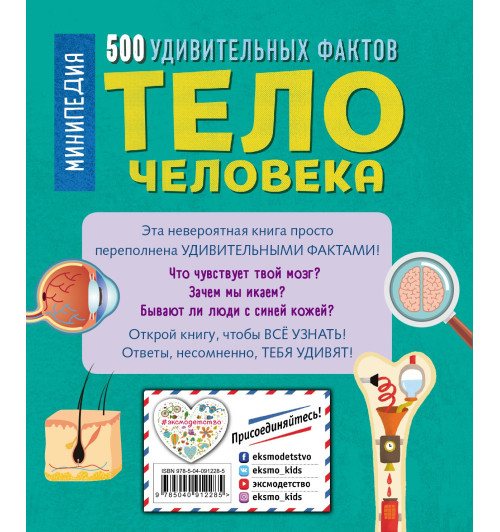 Руни Энн: Тело человека. 500 удивительных фактов-1