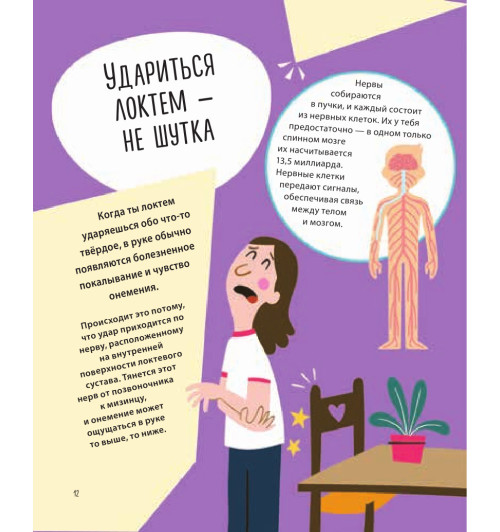 Руни Энн: Тело человека. 500 удивительных фактов-10