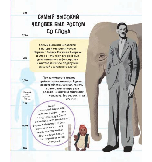 Руни Энн: Тело человека. 500 удивительных фактов-11