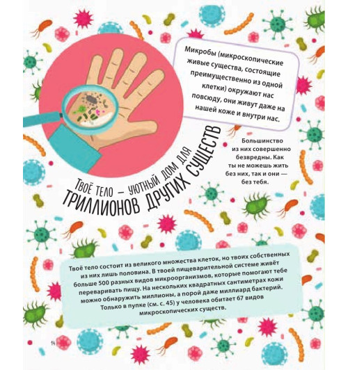 Руни Энн: Тело человека. 500 удивительных фактов-12